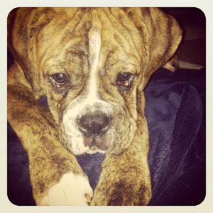 Meet your Posher, Marie